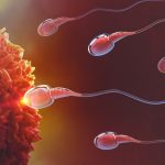  راه‌هایی برای افزایش باروری مردان و افزایش اسپرم